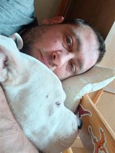 Attila  41 éves férfi, Budapest