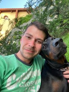 Dominik 29 éves férfi, Győr-Moson-Sopron megye