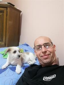 Krisz 47 éves férfi, Baranya megye