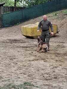 Péter7506 51 éves férfi, Hajdú-Bihar megye