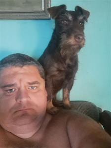 Peti84 41 éves férfi, Bács-Kiskun megye